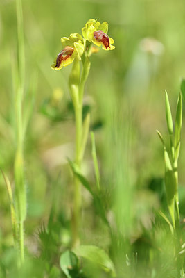 BUITEN BEELD Foto: 296163