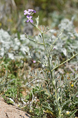 BUITEN BEELD Foto: 296170