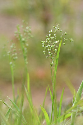 BUITEN BEELD Foto: 296206