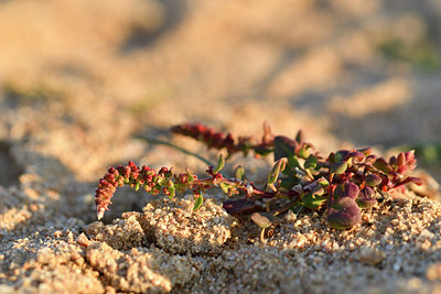 BUITEN BEELD Foto: 296240