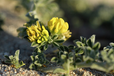 BUITEN BEELD Foto: 296260