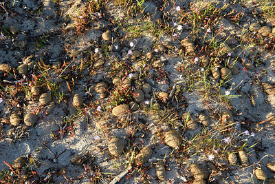 BUITEN BEELD Foto: 296280