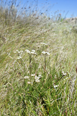 BUITEN BEELD Foto: 296290