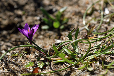 BUITEN BEELD Foto: 296299