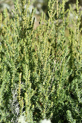 BUITEN BEELD Foto: 296303
