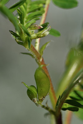 BUITEN BEELD Foto: 296309