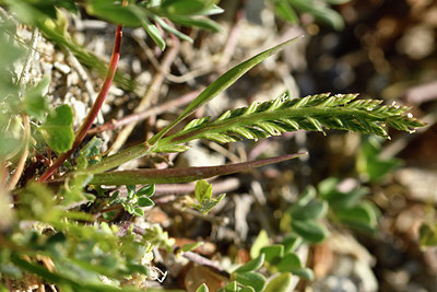 BUITEN BEELD Foto: 296326