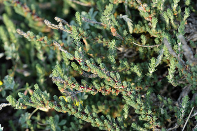 BUITEN BEELD Foto: 296345