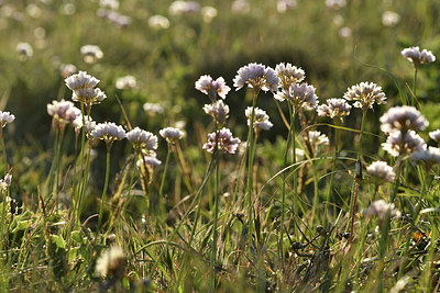 BUITEN BEELD Foto: 296351