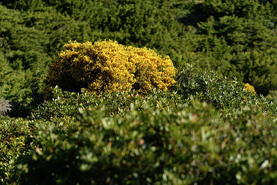 BUITEN BEELD Foto: 296360