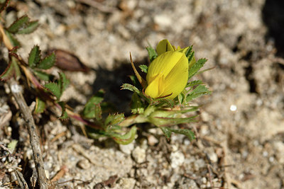 BUITEN BEELD Foto: 296362