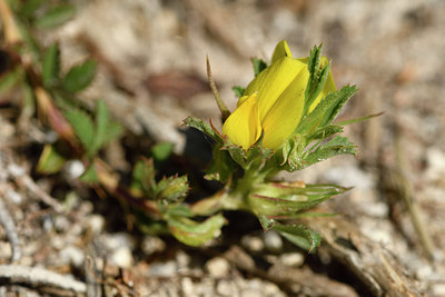 BUITEN BEELD Foto: 296364