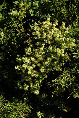 BUITEN BEELD Foto: 296368