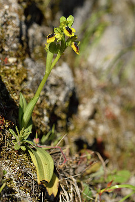 BUITEN BEELD Foto: 296372