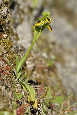 BUITEN BEELD Foto: 296373