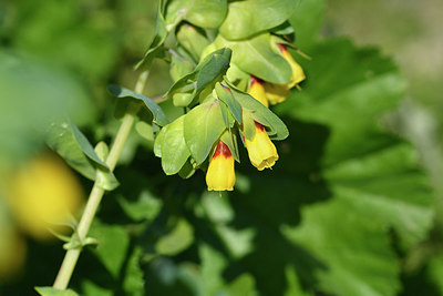 BUITEN BEELD Foto: 296378