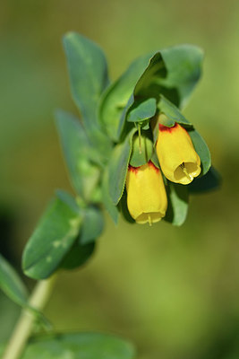 BUITEN BEELD Foto: 296385