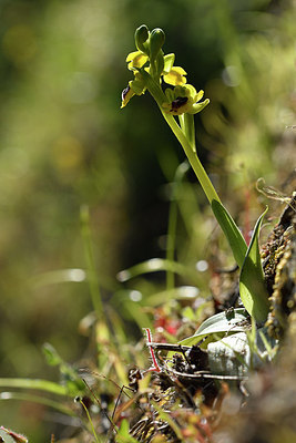 BUITEN BEELD Foto: 296392