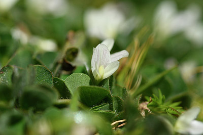 BUITEN BEELD Foto: 296414