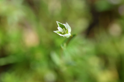 BUITEN BEELD Foto: 296420