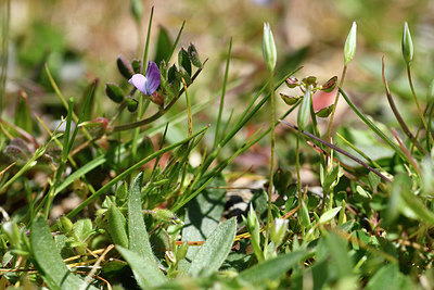BUITEN BEELD Foto: 296426