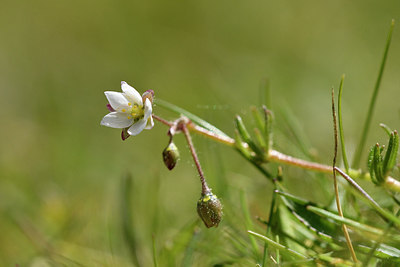 BUITEN BEELD Foto: 296432