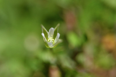 BUITEN BEELD Foto: 296434