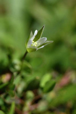 BUITEN BEELD Foto: 296436