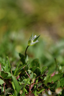 BUITEN BEELD Foto: 296437