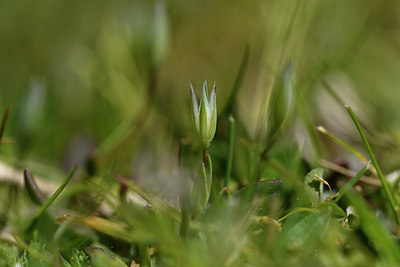 BUITEN BEELD Foto: 296441
