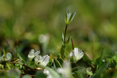 BUITEN BEELD Foto: 296442