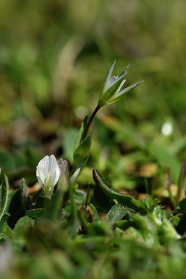 BUITEN BEELD Foto: 296443