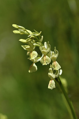 BUITEN BEELD Foto: 296450