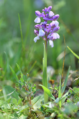 BUITEN BEELD Foto: 296456