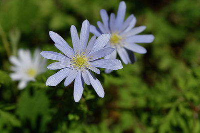 BUITEN BEELD Foto: 296465