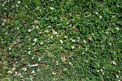 BUITEN BEELD Foto: 296491