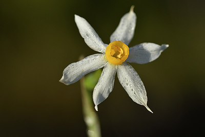 BUITEN BEELD Foto: 296501