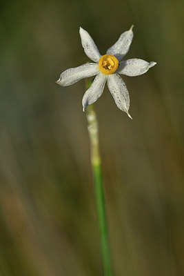 BUITEN BEELD Foto: 296503