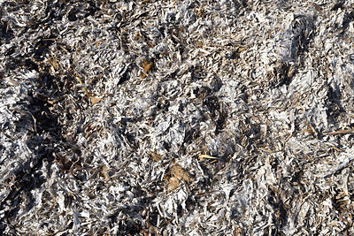 BUITEN BEELD Foto: 296513