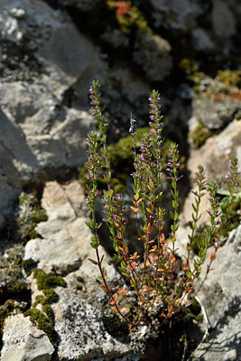 BUITEN BEELD Foto: 296519
