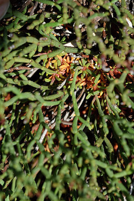 BUITEN BEELD Foto: 296525