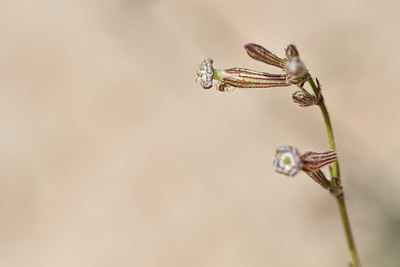 BUITEN BEELD Foto: 296533