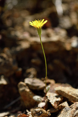 BUITEN BEELD Foto: 296536