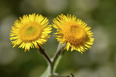 BUITEN BEELD Foto: 296540