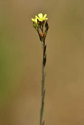 BUITEN BEELD Foto: 296541