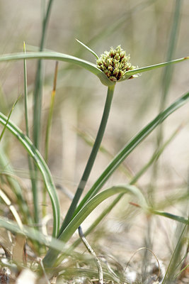 BUITEN BEELD Foto: 296559