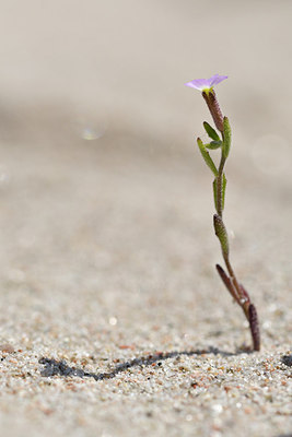 BUITEN BEELD Foto: 296562