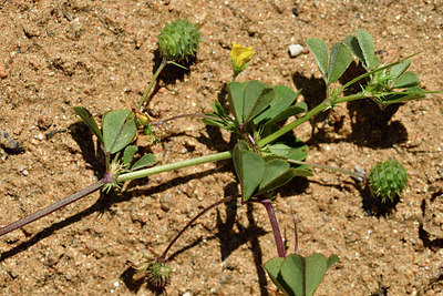 BUITEN BEELD Foto: 296569