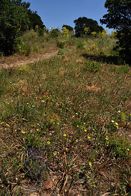 BUITEN BEELD Foto: 296578
