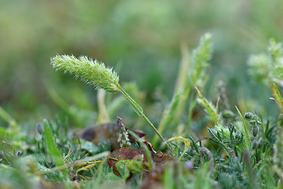 BUITEN BEELD Foto: 296585